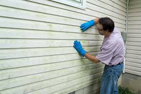 Best Custom Siding Design  in Hampton, IL